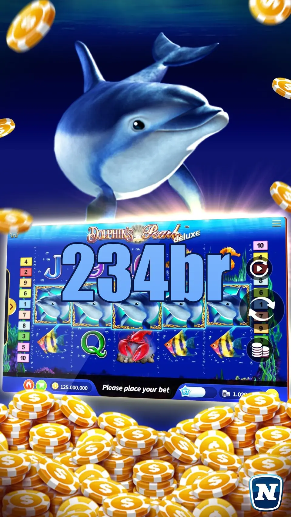 234br Baixar