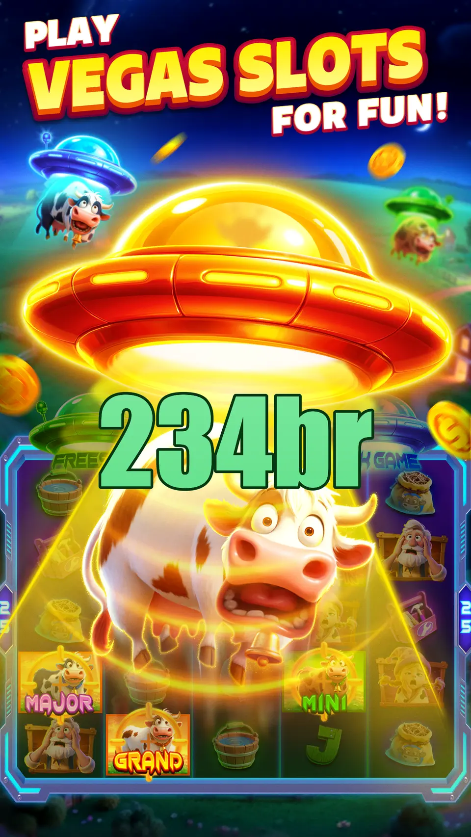 234br Login